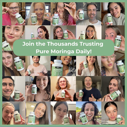 Pure Moringa Powder Capsules